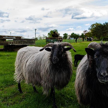 Ferienhaus Getreidesilo Schneverdingen Bagian luar foto
