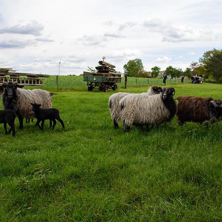 Ferienhaus Getreidesilo Schneverdingen Bagian luar foto