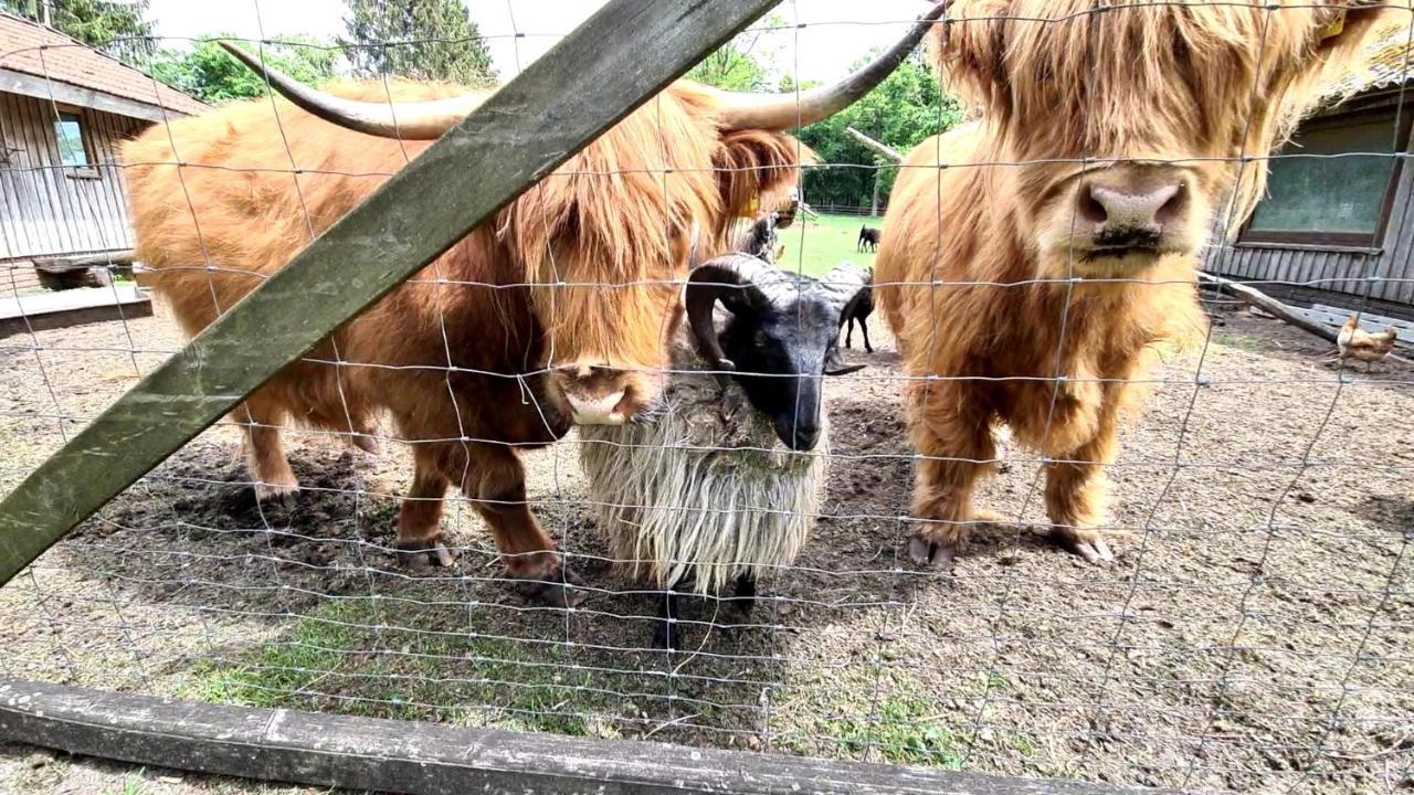 Ferienhaus Getreidesilo Schneverdingen Bagian luar foto