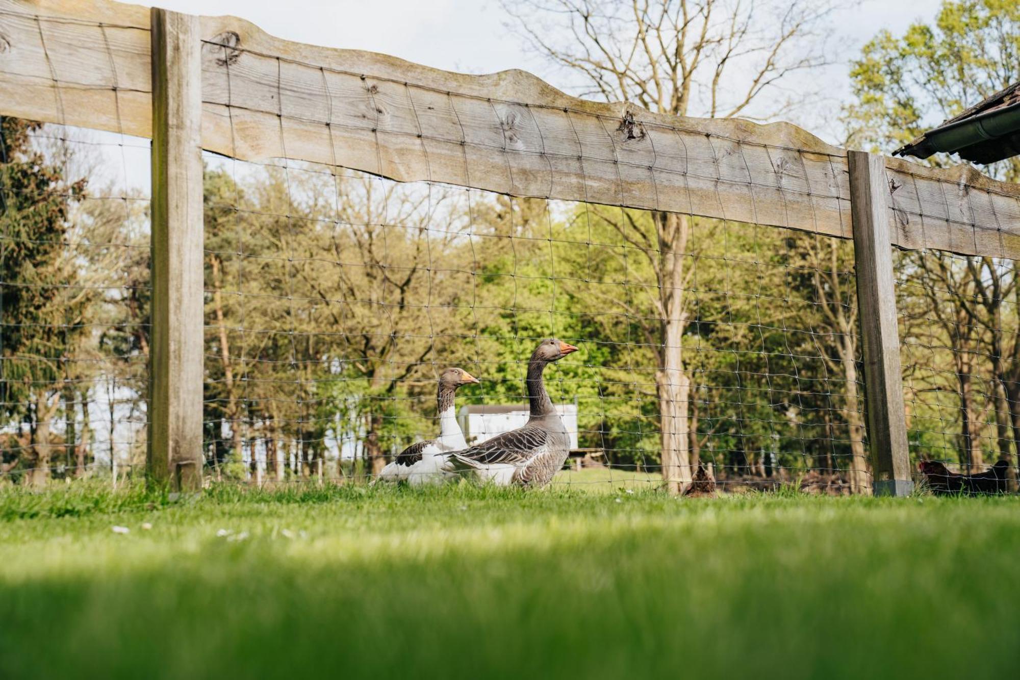 Ferienhaus Getreidesilo Schneverdingen Bagian luar foto